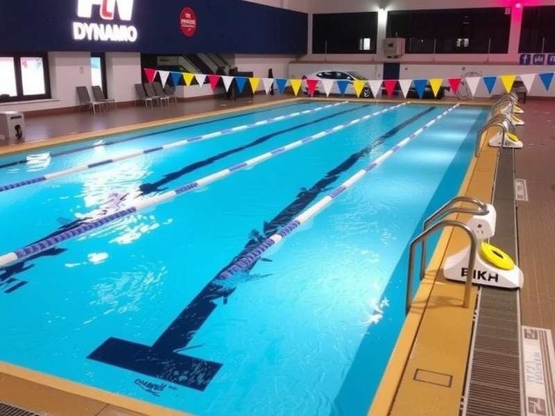 Pool Dynamo India Strategy Guide